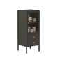 Metal cupboard cabinet with door, cupboard type